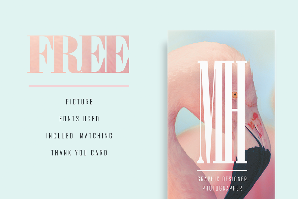 Flamingo Pack Card Template, a Business Card Template by MH Design Template (Photo 3 of 6)