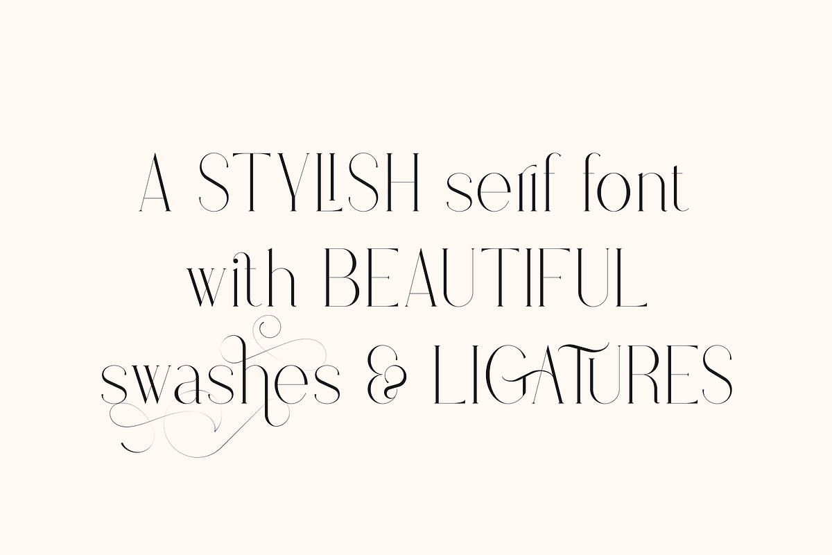 Stolen Love - Elegant serif typeface, a Serif Font by VP Fonts (Photo 2 of 34)