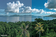 Tropical LUTs for Color Grading, an Action Add-On by Presetsh.com (Thumbnail 4 of 8)