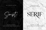 Prestige Signature - Serif & Script, a Script Font by Fontsgood (Thumbnail 2 of 7)