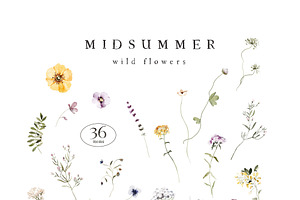 MIDSUMMER Watercolor Wildflowers