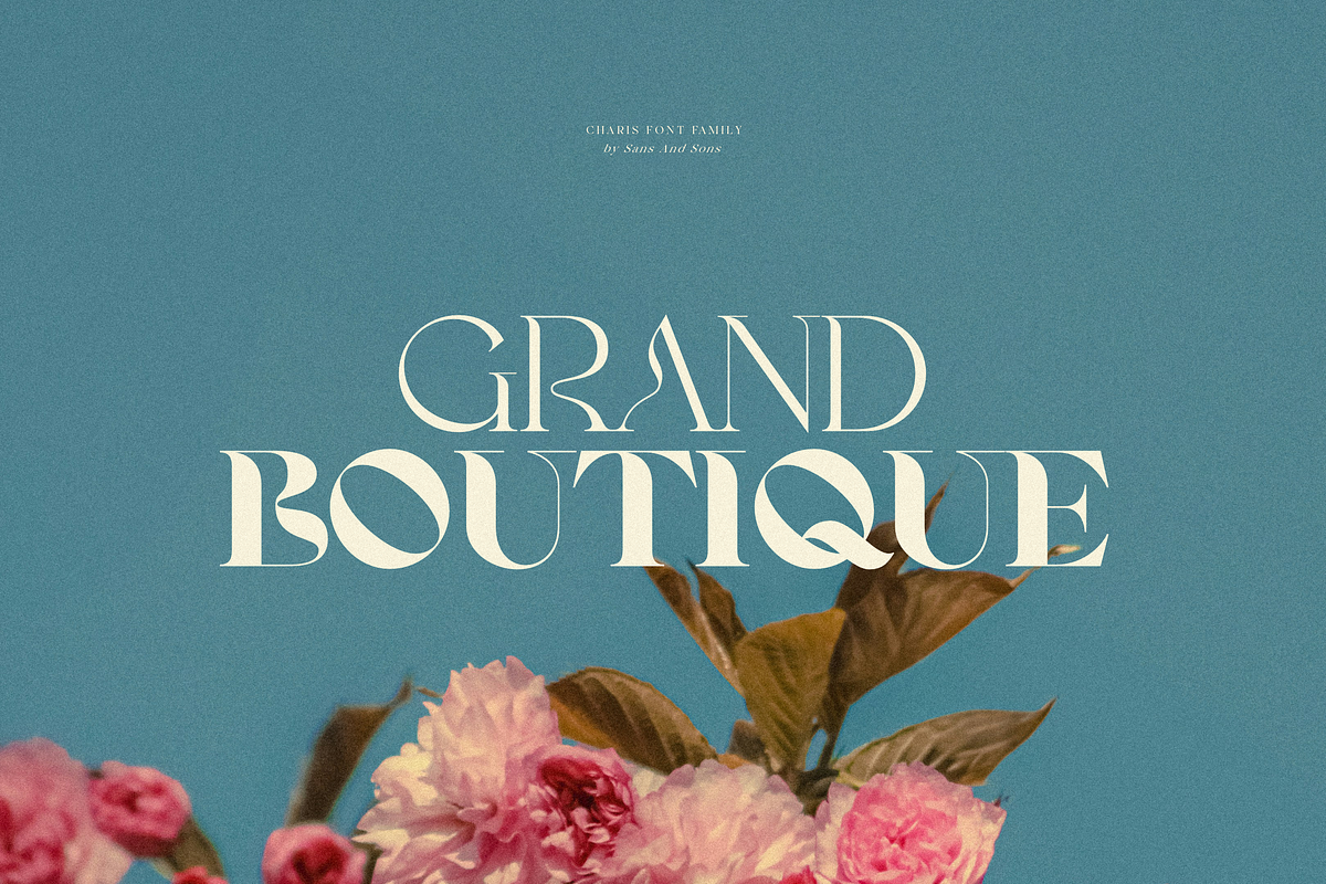 SNS Charis Font Family, a Serif Font by Sans & Sons (Photo 8 of 10)