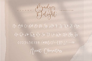 Badger Delight - Modern Handwritten, a Script Font by Letterative Studio (Thumbnail 5 of 7)
