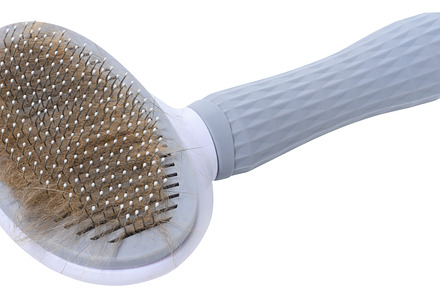 Pet brush for combing hair of cats or dogs with gray body and ha