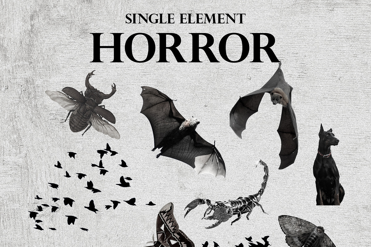 Horror collage. Halloween collection, an Object Graphic by ma_i_vi (Photo 8 of 18)