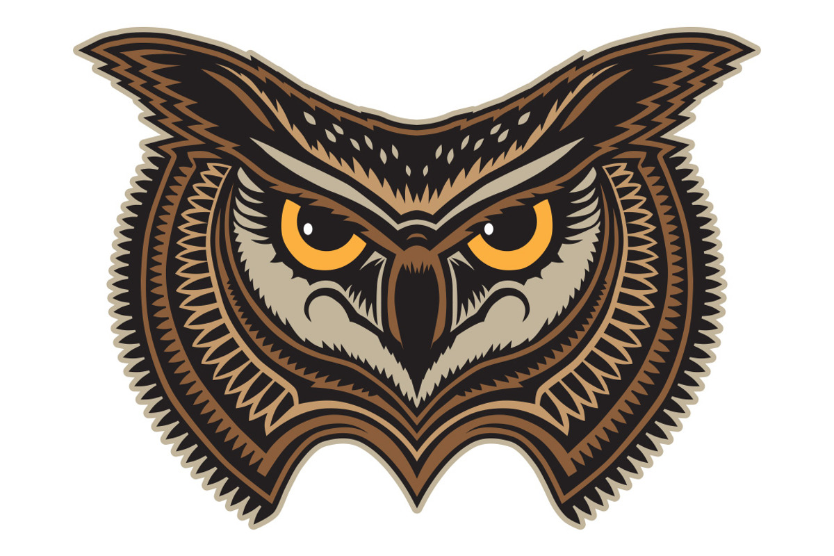 Owl, an Animal Illustration by Bakhtiozin art graphic (Photo 4 of 4)