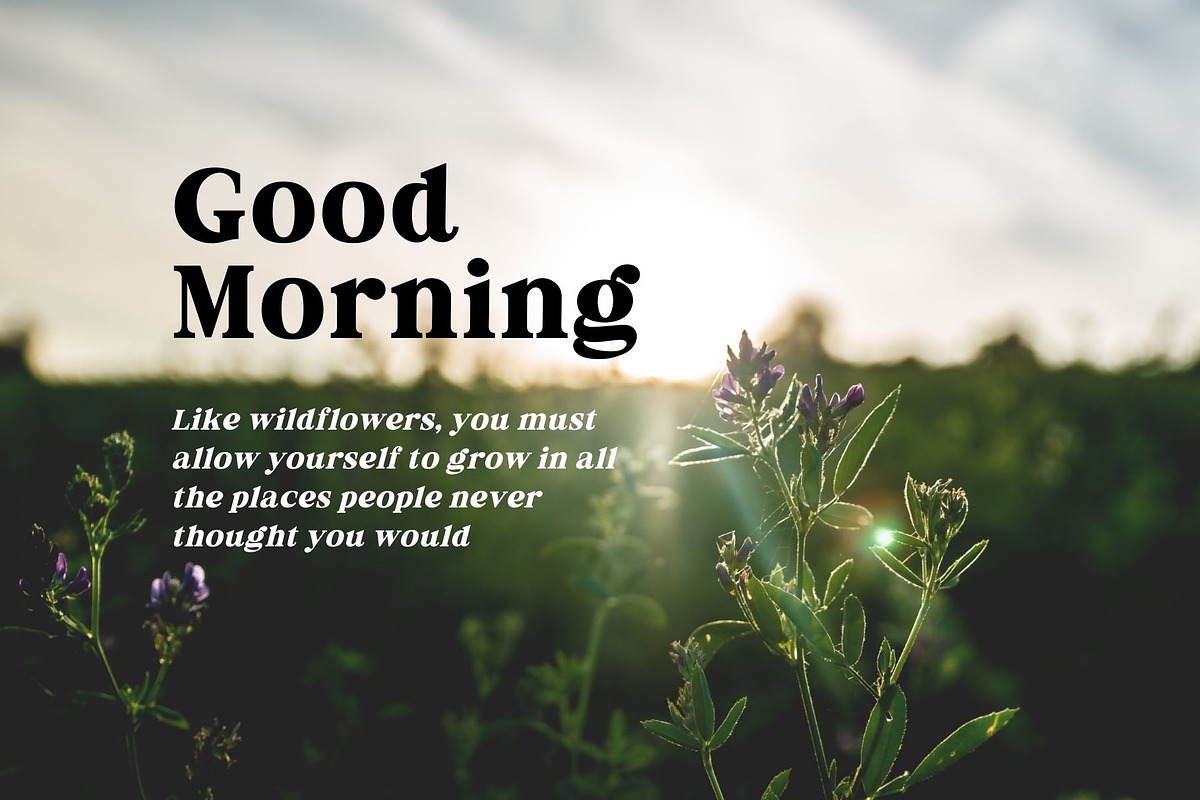 Fox Miravel, a Serif Font by Fox7 By Rattana (Photo 8 of 14)