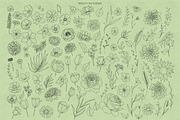 Garden Flowers Procreate Stamps, a Brush Add-On by Dervik Art Store (Thumbnail 2 of 7)