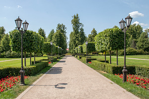 In a park in the village of Ramon, a Nature Photo by Schreibikus