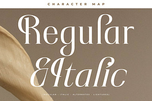 Rakelyn Stylish Modern Serif Font