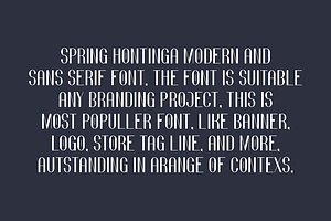 Spring Hontinga - Modern & Minimal