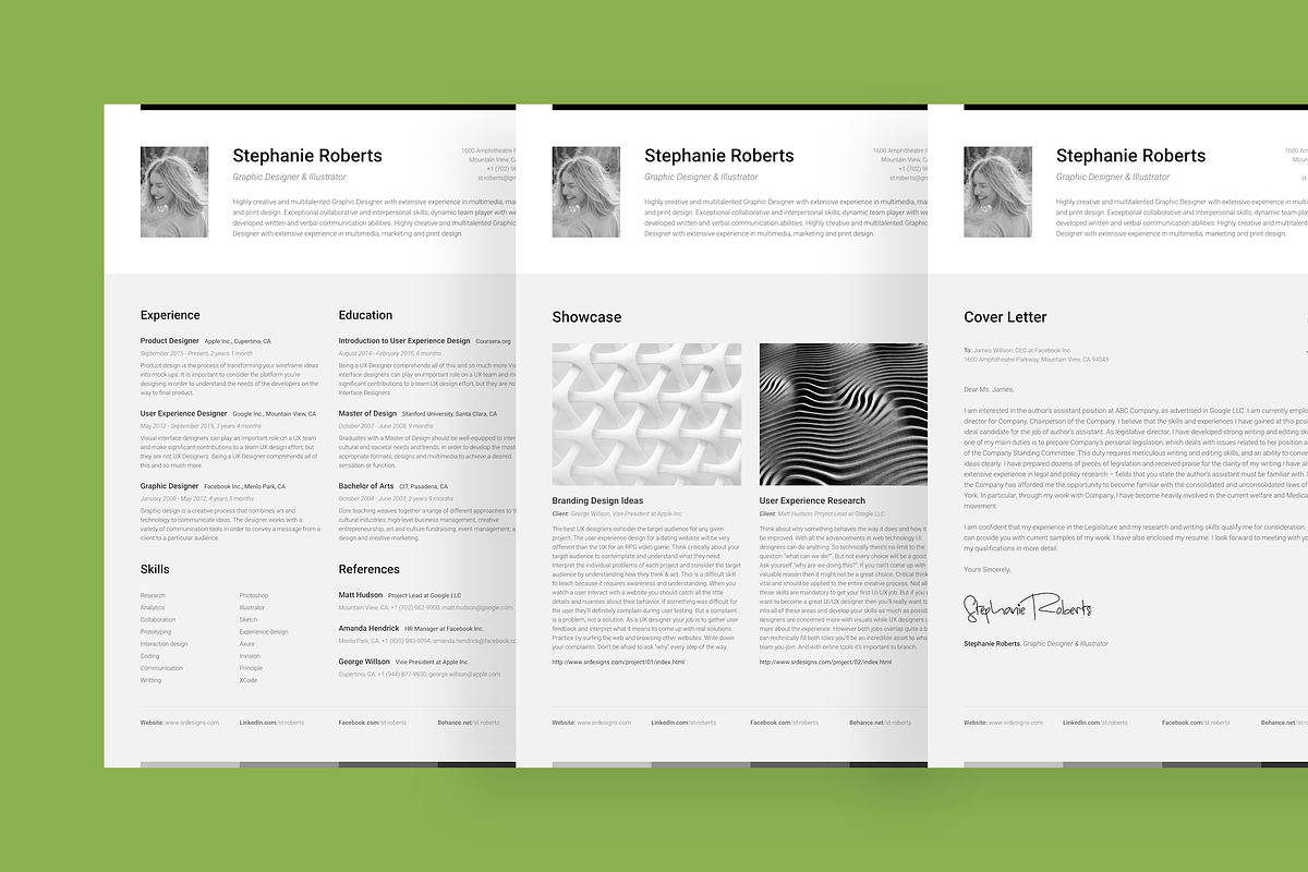 Big Set of Professional Resumes 1, a Resume Template by DEFNST (Photo 14 of 14)
