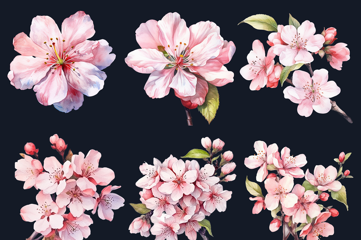 Watercolor Cherry Blossom Collection, a Decorative Illustration by GiraffeCreative (Photo 5 of 9)