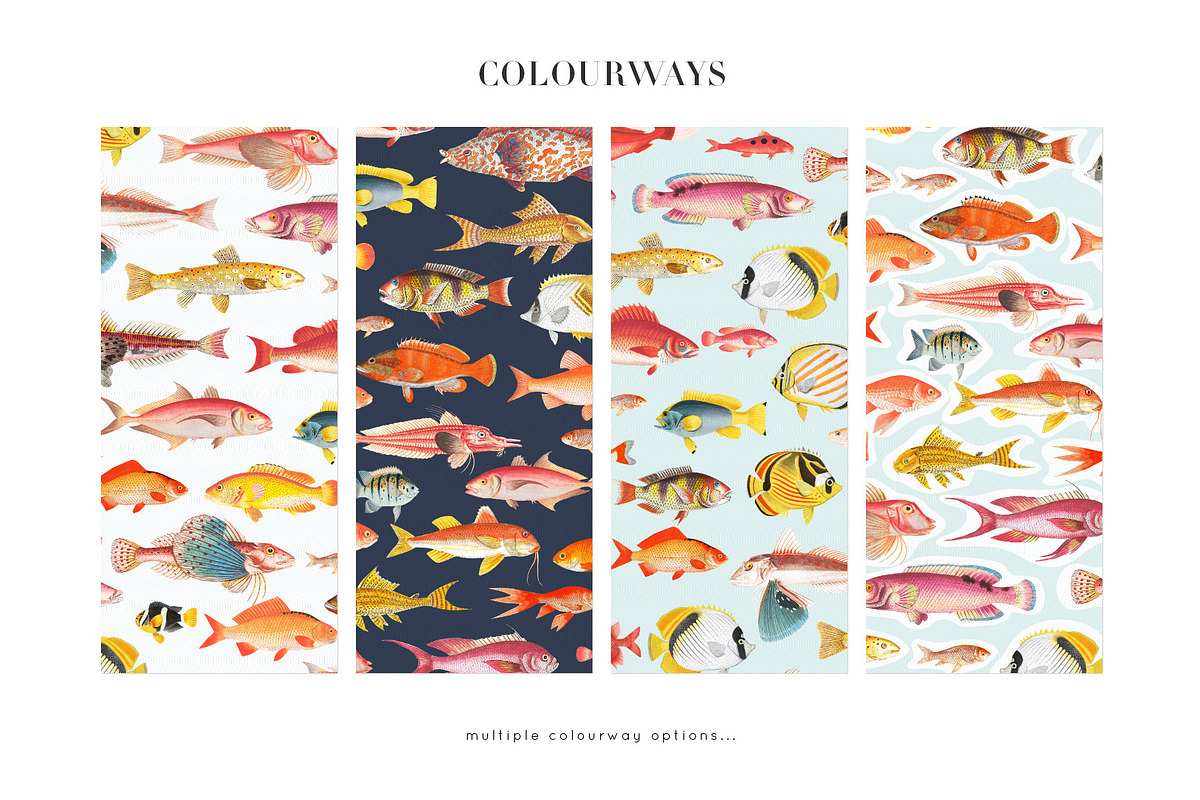 Mulgogi, Luxury Aquatic Designs., a Pattern Graphic by TSTUDIO (Photo 2 of 15)