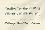 Soraya – Flowing Script Typeface, a Script Font by Ginart (Thumbnail 7 of 9)
