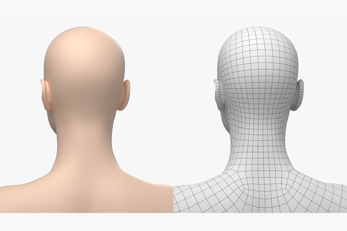 Natural Female 01 A-Pose Base Mesh, a Characters & Person 3D Model by VK Studio (Photo 16 of 26)