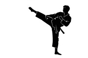 Dynamic martial arts kick silhouette, a Graphic by Amazin_art (Thumbnail 4 of 36)