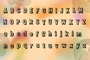 Serif Retro Aden Timeless Vintage, a Sans Serif Font by adenpinkstore (Thumbnail 4 of 7)