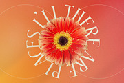 Glorando Modern Serif Font Display, a Serif Font by Storytype Studio (Thumbnail 10 of 15)