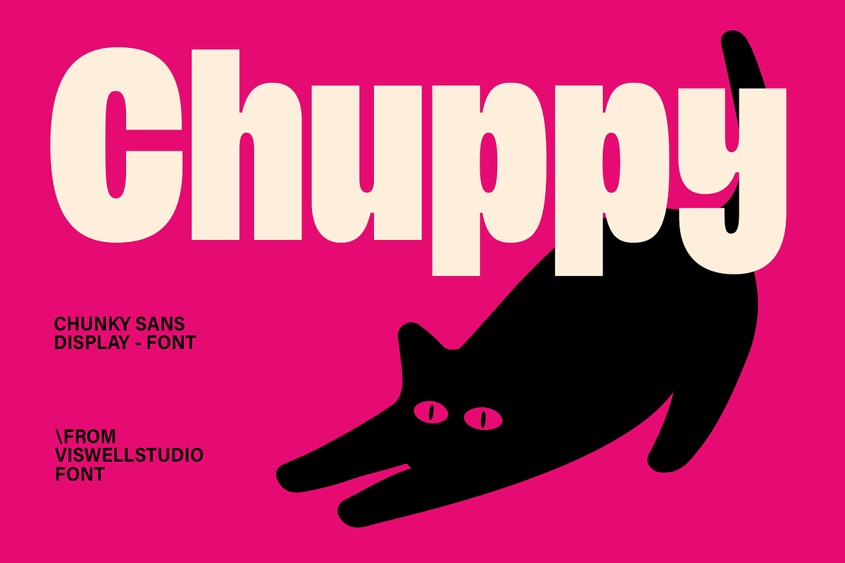 Chuppy Bold Display Font, a Sans Serif Font by Viswell (Photo 1 of 11)