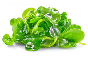 Numerous pea shoots emerge on a, a Food & Drink Photo by ZinetroN