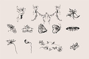 Vintage Frames SVG Clipart PNG, a Decorative Illustration by Anada Arty (Thumbnail 11 of 18)