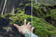 MILLION OF GREEN-Set of 20presets Lr, an Action Add-On by Graphics, Presets, Photos (Thumbnail 18 of 21)