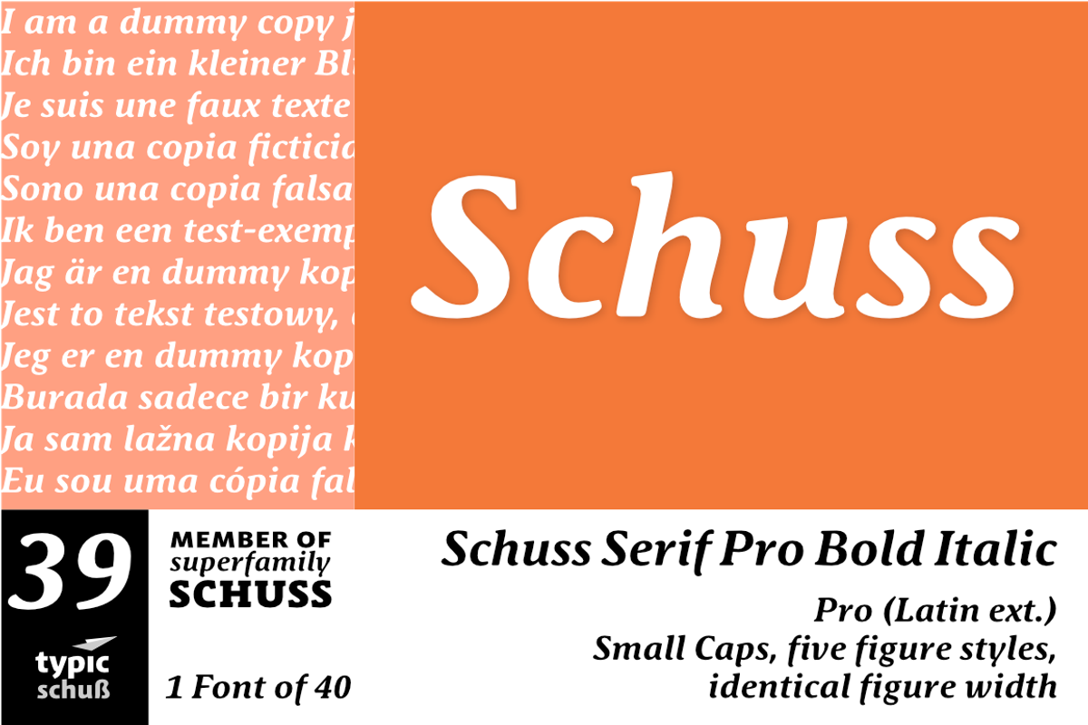 SchussSerifProBoldIta No.39 (1 Font)
