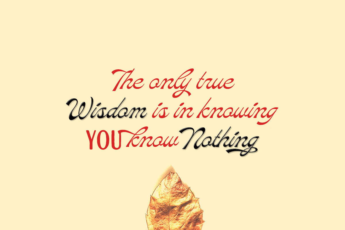Marlean Reversed Script, a Script Font by Letterhend Studio (Photo 3 of 9)