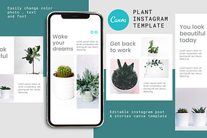 Canva Instagram Template Plant