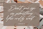 Pantherdam Signature Signature Brush, a Script Font by Letterena Studios Script (Thumbnail 9 of 15)