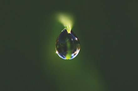 A Drop On Broccoli Leaf preview 3