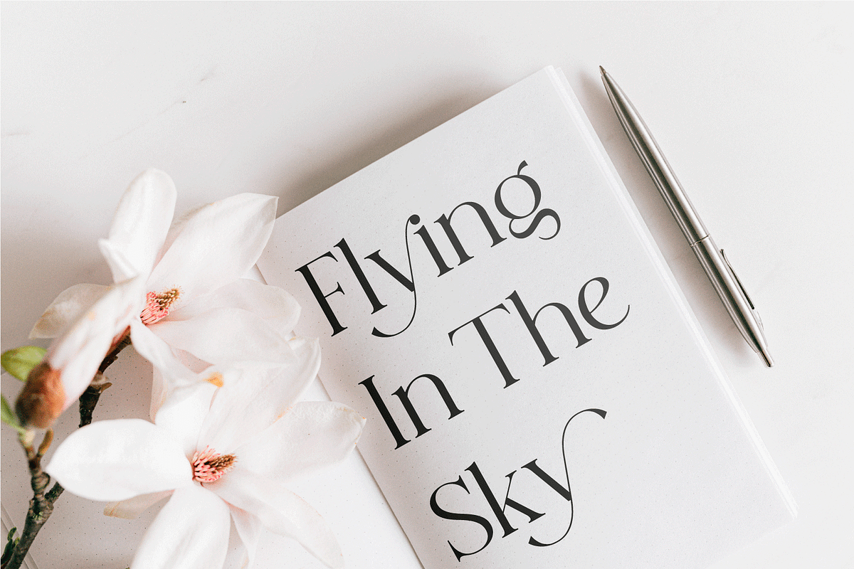 Histeagin Serif, a Serif Font by Yahya Type (Photo 16 of 25)