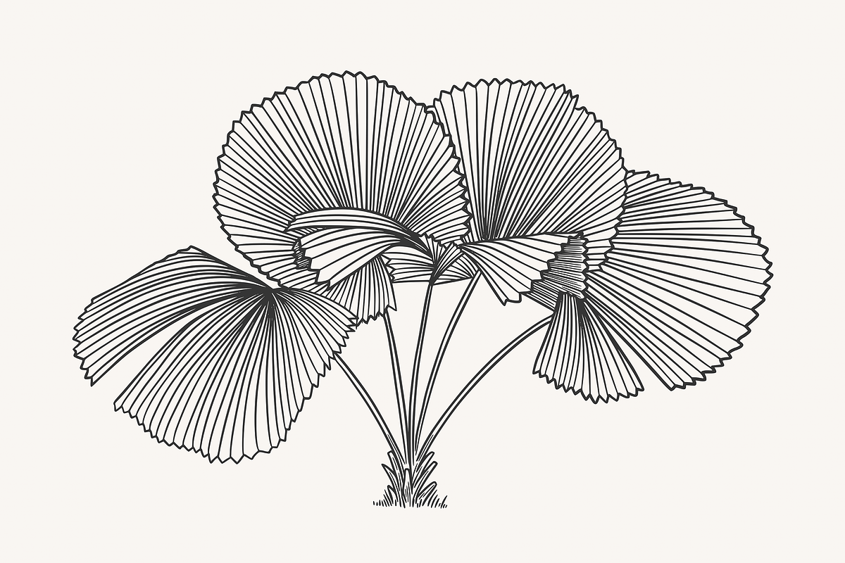 Palm Tree Vector Illustration Bundle, an Illustration by Kusumaillustration (Photo 8 of 15)