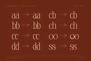 Closed Memory Nostalgic Editorial, a Serif Font by Lettertype Studio (Thumbnail 7 of 16)