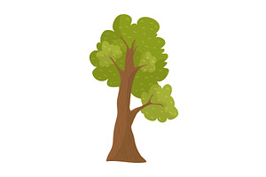 Cartoon style solitary oak tree with