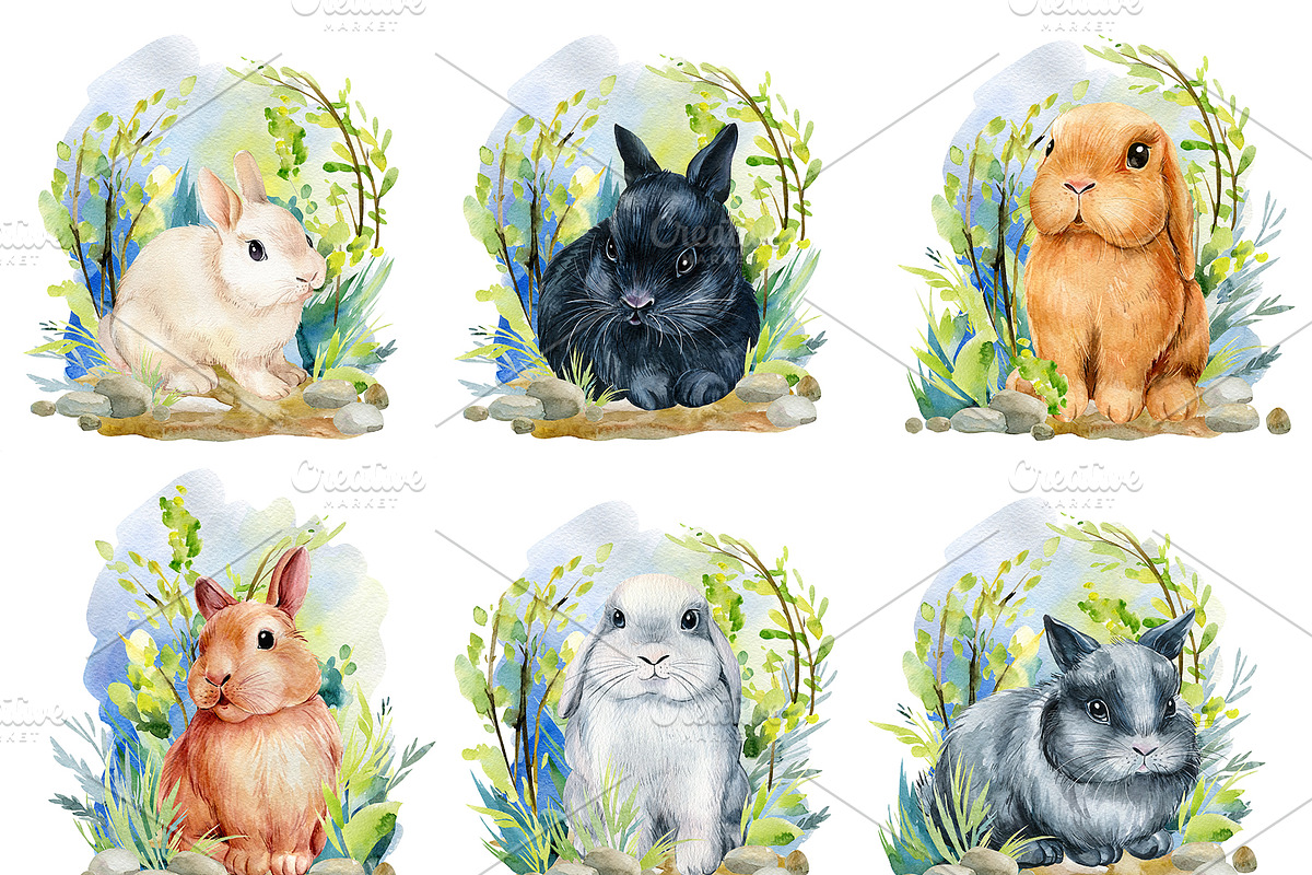 Fluffy bunnies. Watercolor painting, an Animal Illustration by Hanna Hryharenka (Photo 14 of 17)