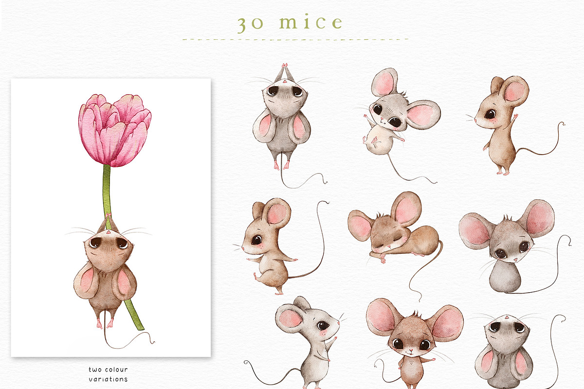 Cute Mice & Friends Clipart Set, an Animal Illustration by Pretty Little Lines (Photo 7 of 13)