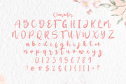 Santtuy - Handwritten Font, a Script Font by StringLabs (Thumbnail 10 of 12)
