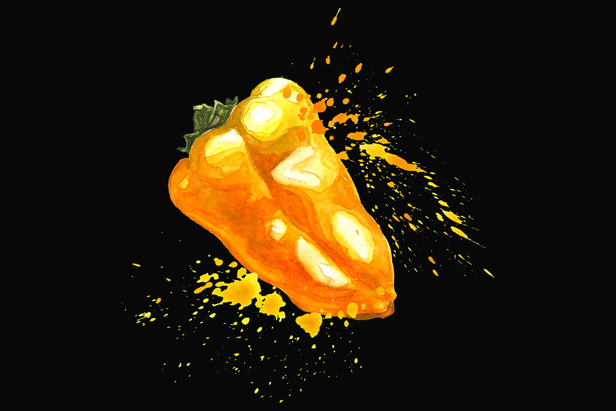 Hand-drawn Watercolor Mini Peppers, a Decorative Illustration by Margo Miller (Photo 9 of 17)