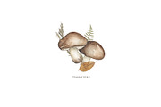 Watercolor Mushrooms Collection, an Education Illustration by MayaNavits (Thumbnail 14 of 14)