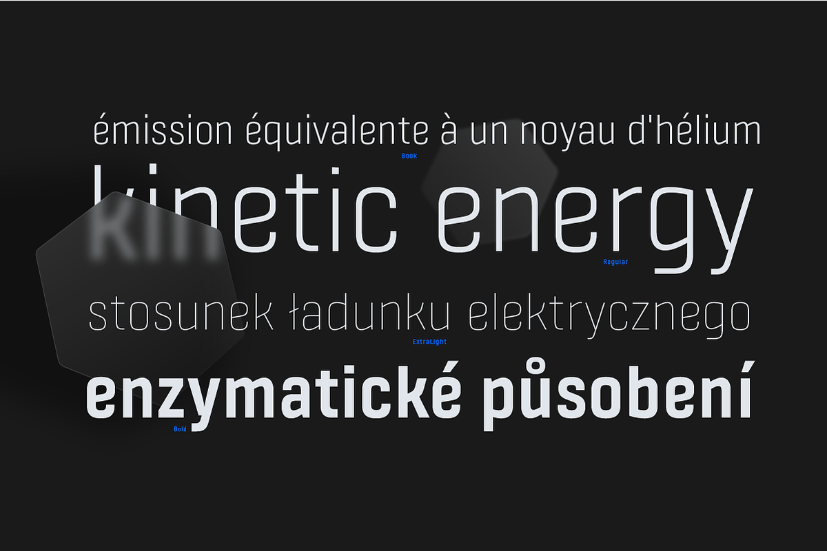 Fester, a Font by Fontfabric (Photo 4 of 5)