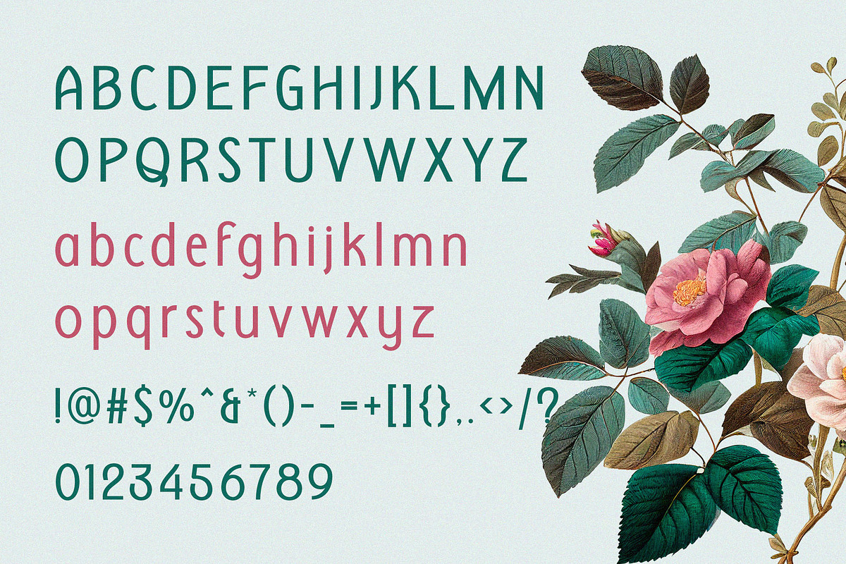 Ladonna – Display Sans Serif, a Sans Serif Font by BrandSemut (Photo 8 of 8)