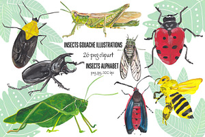 Insects Alphabet & clipart