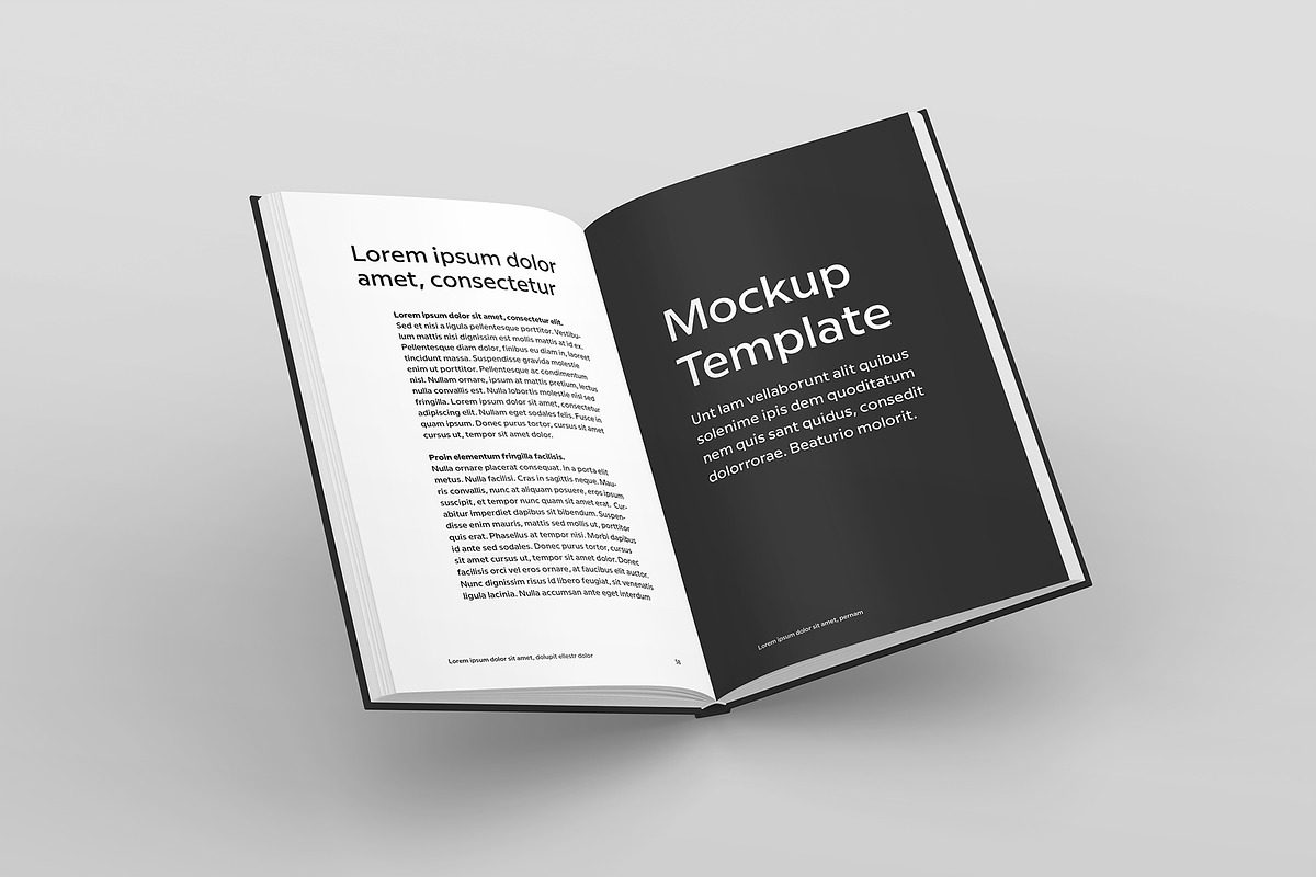 Hardcover Book Mockup, a Books & Magazine Mockup by Petr Stránský (Photo 4 of 8)