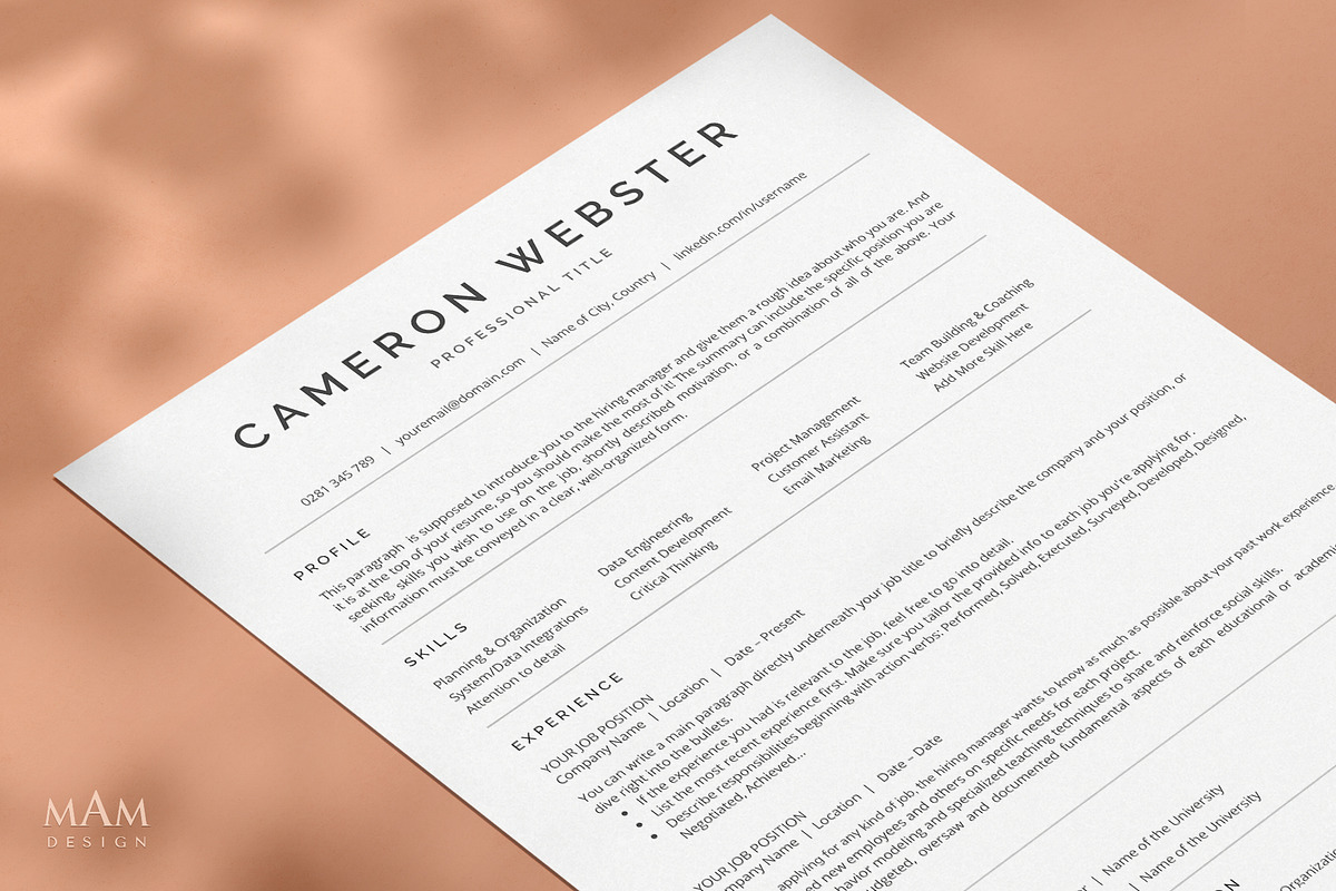 ATS Friendly Resume Template preview 4