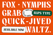 Gallile - Display Serif Font, a Serif Font by Haps Space (Thumbnail 2 of 13)
