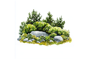 Prompt Watercolor Bushes Clipart, a Decorative Illustration by Creative design (Thumbnail 2 of 7)