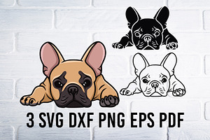 Bulldog Svg, French Bulldog svg, Dog