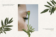 Tender Flora: Botanical Scrapbook, an Object Graphic by Feelsoul (Thumbnail 8 of 10)